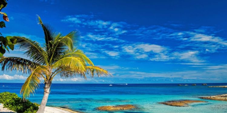 Crypto Investors Are Creating A DAO To Buy A Caribbean Island