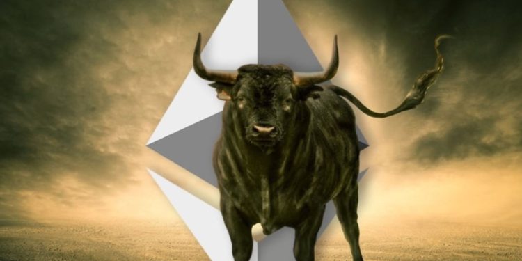 Bullish Signal? Ethereum Market Dominance Sitting Above 20%