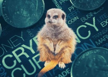 US Congressman Mentions ‘Mongoose Coin’, Hours Later It Moons 320,000%