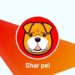 Why Shar Pei Is Set To Replace Dogecoin And Shiba Inu