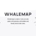 Blockchain Analytics Platform Whalemap Announces $1.6M Raise to Simplify Blockchain Data For Everyday Use