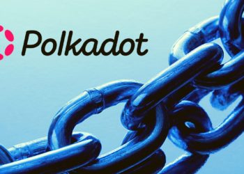 Polkadot’s Parachains Finally Launch, What’s Next?