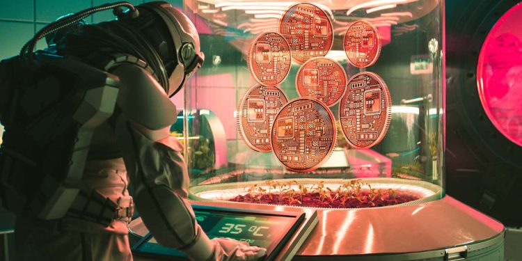 Top Traders Are Accumulating Seven Altcoins Built on Ethereum, According to Crypto Whale Watcher