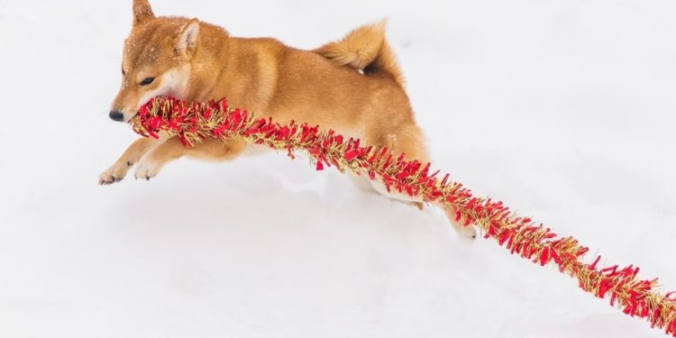 ‘Uniquely DOGE Proposal’, Binance ‘Funds SAFU’, Monero-Mining Spider-Pirates, Late Thai CBDC + More News