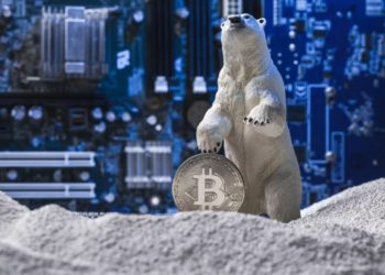 Another Crypto Winter Or a New Dawn for NFTs