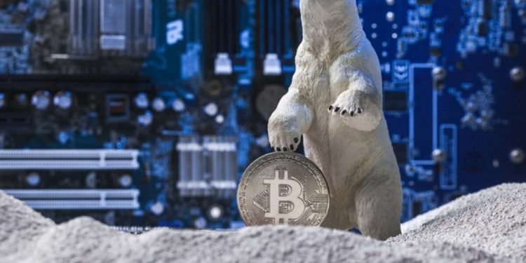 Another Crypto Winter Or a New Dawn for NFTs