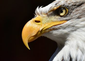 Ripple Had Its Strongest Year Ever Despite The Sec’s “Attack On Crypto”