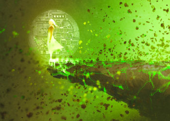 Coin Bureau Bullish on Two Large-Cap Altcoins, Issues Warning on Fantom (FTM) and Near Protocol (NEAR)