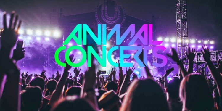 Music Concerts in the Metaverse: the New Wave of Adoption?