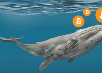 Bitcoin Whale Address Containing $11 Million Activates After 9-Year Dormancy