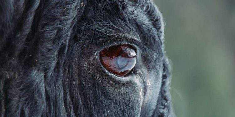 Bitcoin-focused NYDIG Raises USD 1B, Golden State FTX, Bitfinex Recovers 6 BTC + More News