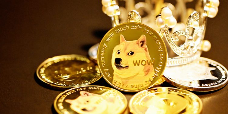Dogecoin, Shiba Inu, & More