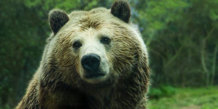 Bitcoin Leverage Ratio Hits New ATH, Is More Price Decline Coming?