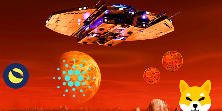 Here’s What’s Next for Cardano, Shiba Inu, Terra and Two More Altcoins, According to Crypto Analyst