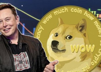 Dogecoin Surges +45% In A Single Day Amid Tesla To Make Merchandise Buyable With Doge