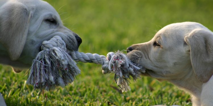 Metaverse versus GameFi: A New Blockchain War?