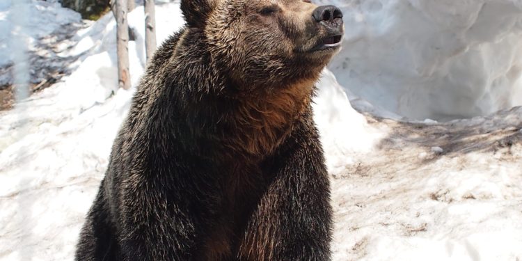 Exchange Reserves Show Sharp Increase