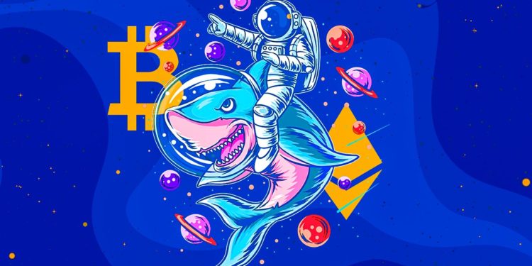 Whales Abruptly Shuffle Nearly $1,740,000,000 in Bitcoin and Ethereum As Traders Hold Their Breath