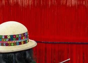 Bolivian Central Bank ‘Bans’ Crypto, Says Tokens ‘Have No Place in Domestic Market’