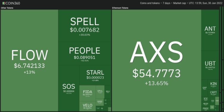 Top 10 Performing Cryptos Of The Week, 23-30 January 2022