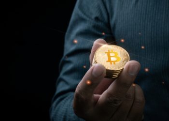 Bitcoin Bull Raoul Paul Predicts 100x Crypto MarketCap Growth by 2030