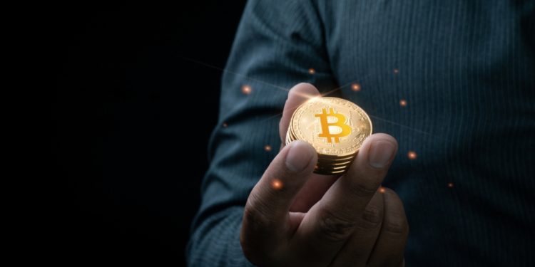 Bitcoin Bull Raoul Paul Predicts 100x Crypto MarketCap Growth by 2030