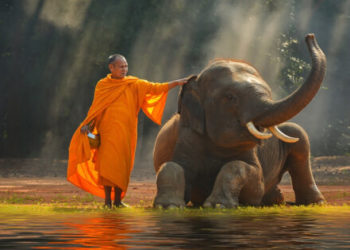 Thailand Sees PoW Mining Surge As China Ban Lingers On