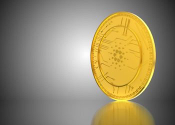 Cardano Whales Double Holdings In 10 Days. Will This Stop The Onslaught?