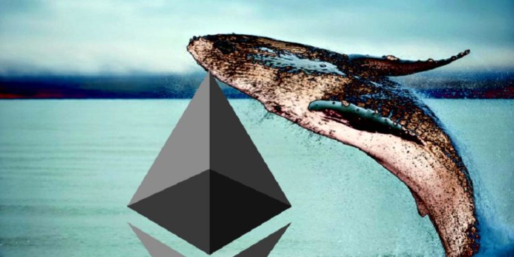 Ethereum Whales Quietly Filled Up On ETH While Broader Market Panicked
