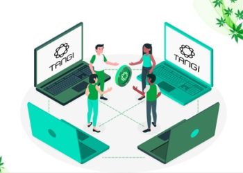 The Use of Blockchain in the Cannabis World