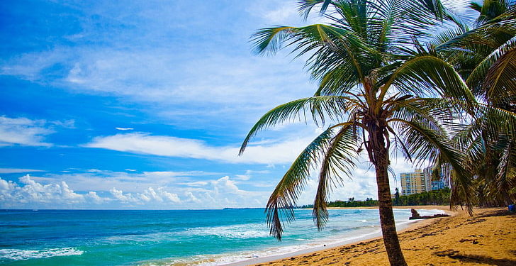 Bitcoin Millionaires Are Flocking To This North American Tax Haven. But What Do The Locals Think?