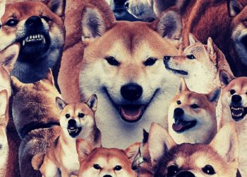 Shiba Inu Launches Doggy DAO To Advance Decentralisation Mission