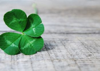 ‘Insane Luck at Work’ as Second Solo Bitcoin Miner Wins the Block Race in a Week
