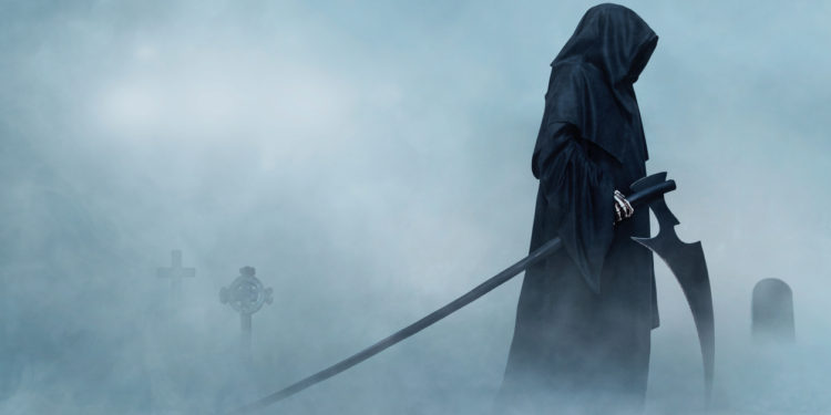 What You Need To Know About The Signal