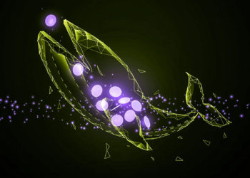 Bitcoin ‘Mega Whales’ Make Reappearance As BTC Struggles To Stay Above $40,000: Crypto Intelligence Firm Santiment