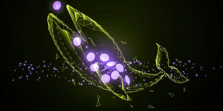 Bitcoin ‘Mega Whales’ Make Reappearance As BTC Struggles To Stay Above $40,000: Crypto Intelligence Firm Santiment