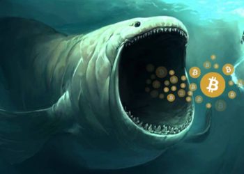 Bitcoin Whales Take Advantage Of Market Crash To Gobble Up Millions In BTC