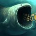 Bitcoin Whales Take Advantage Of Market Crash To Gobble Up Millions In BTC