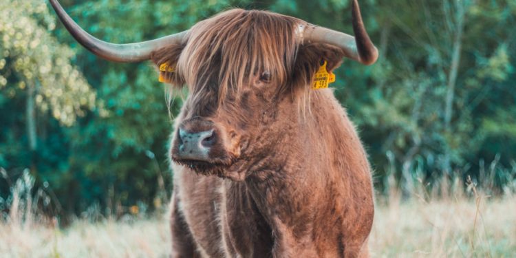 70% Of Bitcoin Supply Is In Profit