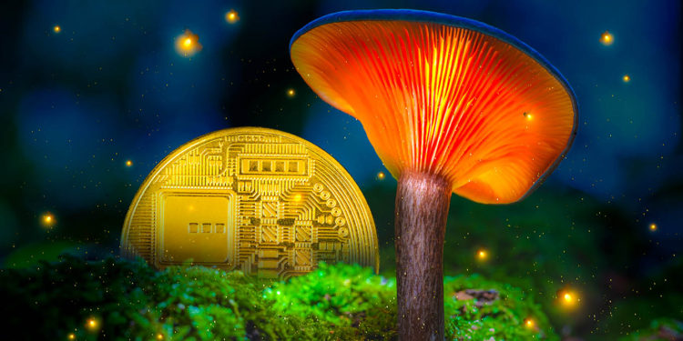 One Ethereum Rival Eyes Major Breakout After Gaining $1,200,000,000 in Total Value Locked: Delphi Digital