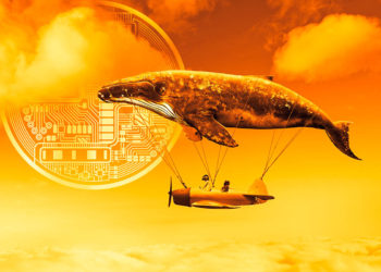 Massive Crypto Whale Quietly Accumulating One Ethereum Competitor and Top Gaming Altcoin