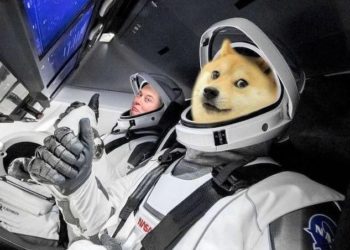 Tesla Accepts Dogecoin Payments for its Merch, DOGE Rallies
