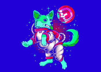 Elon Musk Announces Dogecoin (DOGE) Adoption at Tesla, Ignites Memecoin Explosion