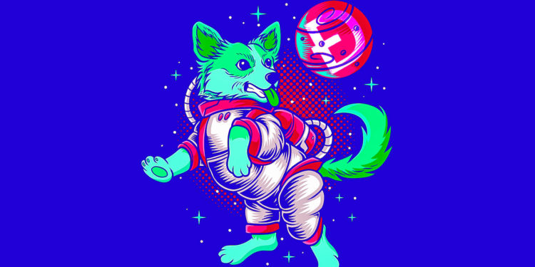 Elon Musk Announces Dogecoin (DOGE) Adoption at Tesla, Ignites Memecoin Explosion