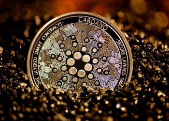 Cardano Enters The Basho Stage: How It Improves Performance
