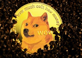 Shiba Inu Slumps 5% As Whales Buy More