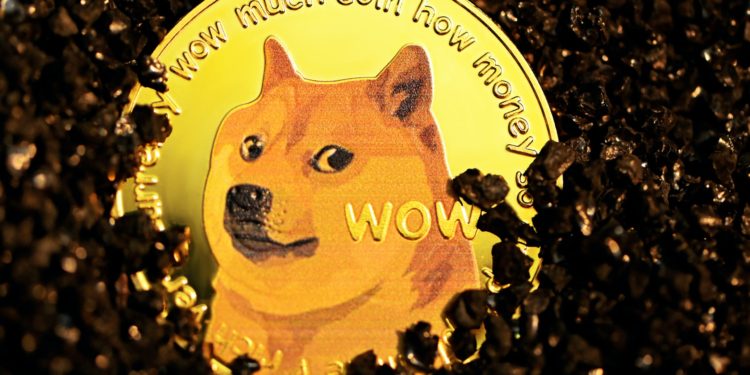 Shiba Inu Slumps 5% As Whales Buy More