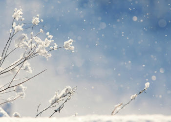 Crypto Winter: An Investor’s Big Fear…