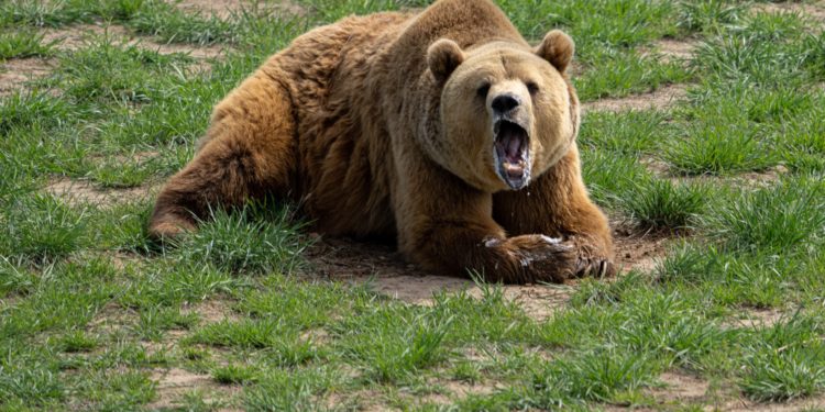 Binance Observes Massive Inflow Of 10k BTC