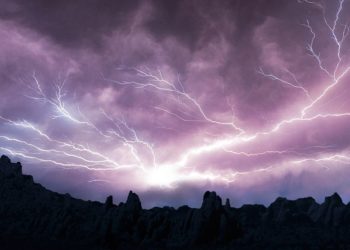 What’s The Lightning Development Initiative?